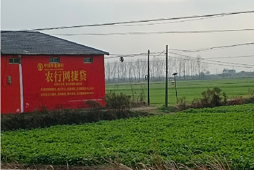 会理如何防止墙体广告褪色呢？