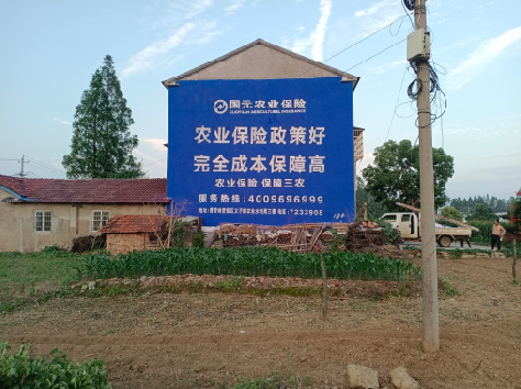 会理墙体广告的优劣势你知道吗？